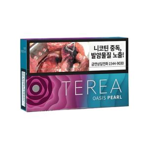 【14種口味】韓國版 IQOS 煙彈 TEREA 系列 IQOS ILUMA 主機專用整條煙(10包) - 綠洲珍珠