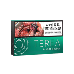 【14種口味】韓國版 IQOS 煙彈 TEREA 系列 IQOS ILUMA 主機專用整條煙(10包) - 淡薄荷